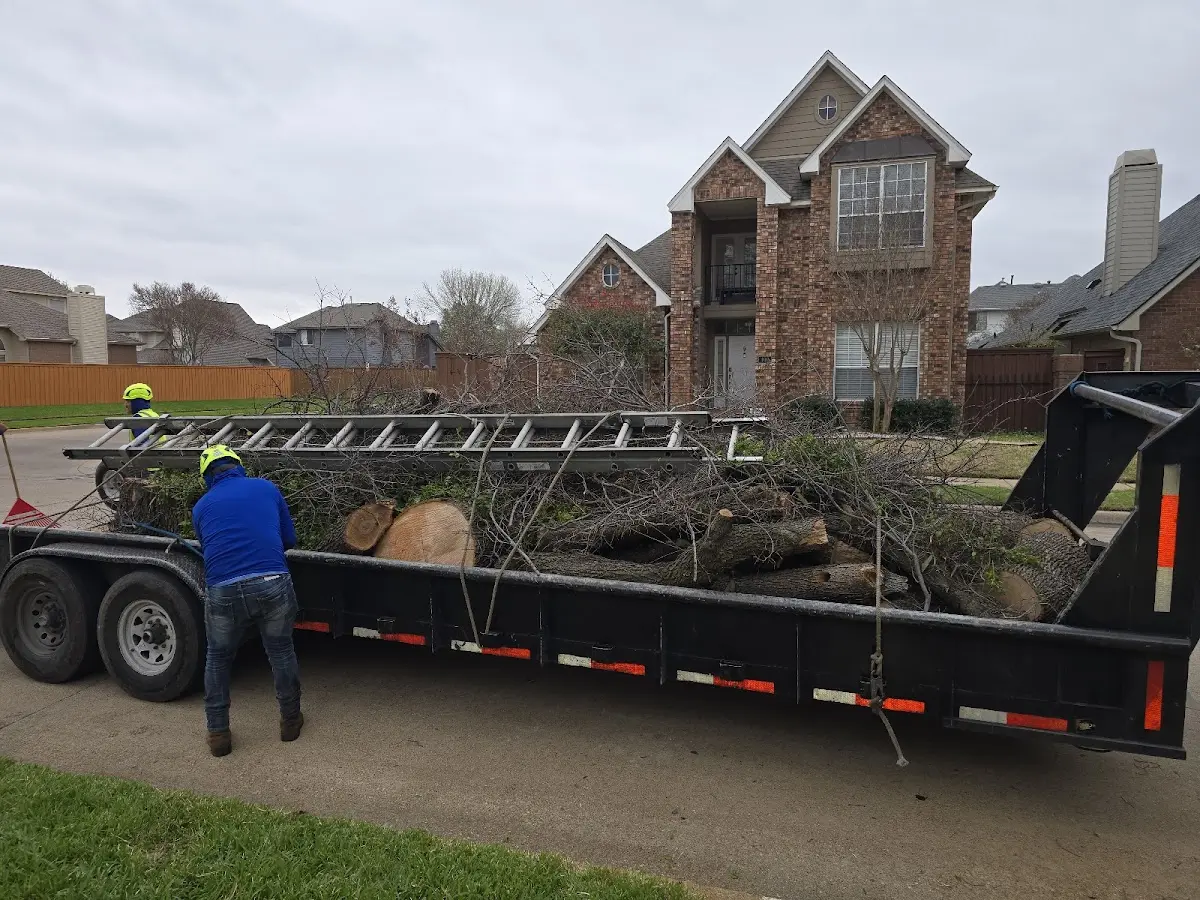 Expert Tree Removal with proper safety equipment in Foss